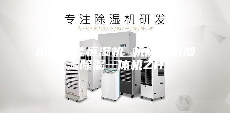 機(jī)房智能恒濕機(jī) 機(jī)房專用加濕除濕一體機(jī)ZH