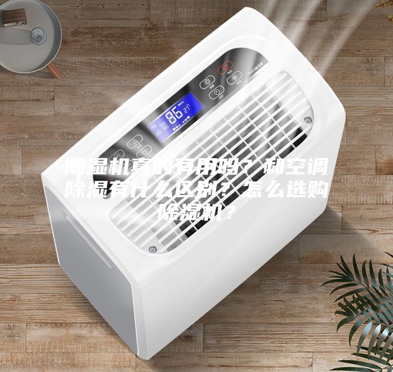 除濕機真的有用嗎？和空調除濕有什么區別？怎么選購除濕機？