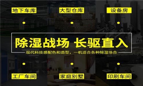 秋冬防濕冷，家里怎么除濕最好？