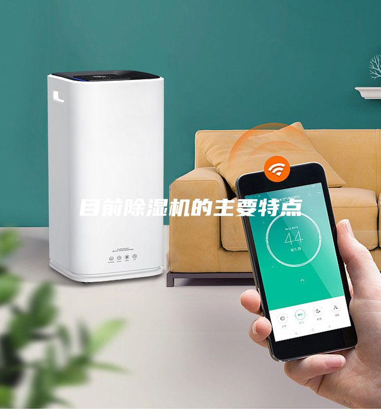 目前除濕機(jī)的主要特點(diǎn)