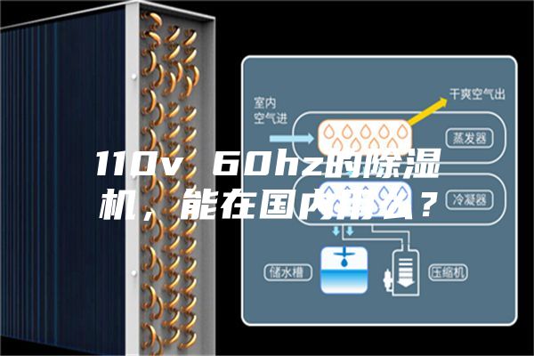 110v 60hz的除濕機，能在國內用么？