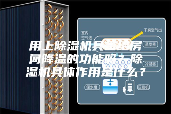 用上除濕機具備給房間降溫的功能嗎？除濕機具體作用是什么？