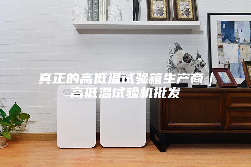 真正的高低溫試驗箱生產(chǎn)商|高低溫試驗機批發(fā)
