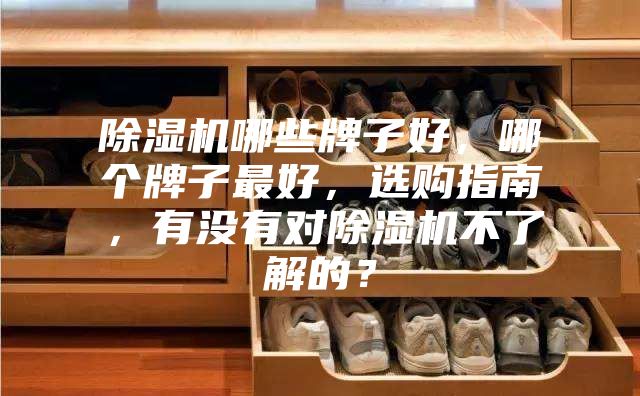 除濕機哪些牌子好，哪個牌子最好，選購指南，有沒有對除濕機不了解的？