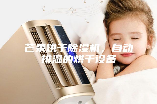 芒果烘干除濕機,自動排濕的烘干設備
