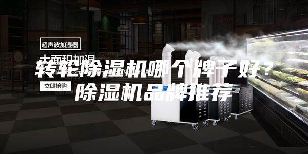 轉輪除濕機哪個牌子好？除濕機品牌推薦