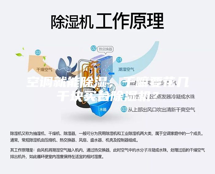 空調(diào)就能除濕，干嘛要花幾千塊買臺(tái)除濕機(jī)？