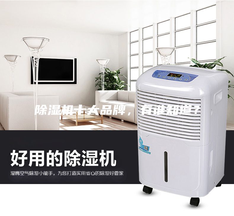 除濕機十大品牌，有誰知道？
