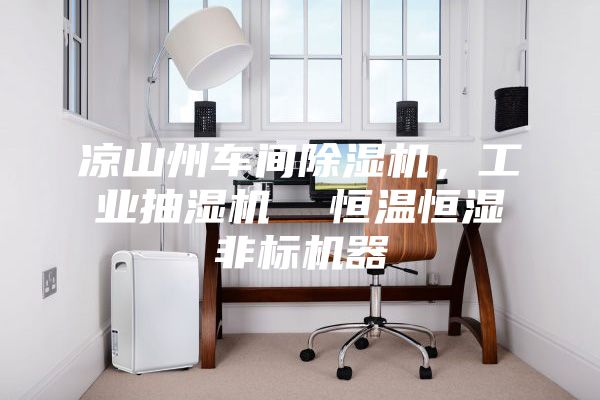 涼山州車間除濕機，工業抽濕機  恒溫恒濕非標機器