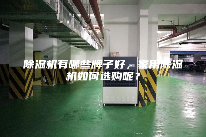 除濕機(jī)有哪些牌子好，家用除濕機(jī)如何選購呢？