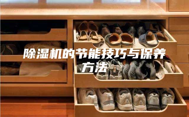除濕機的節能技巧與保養方法
