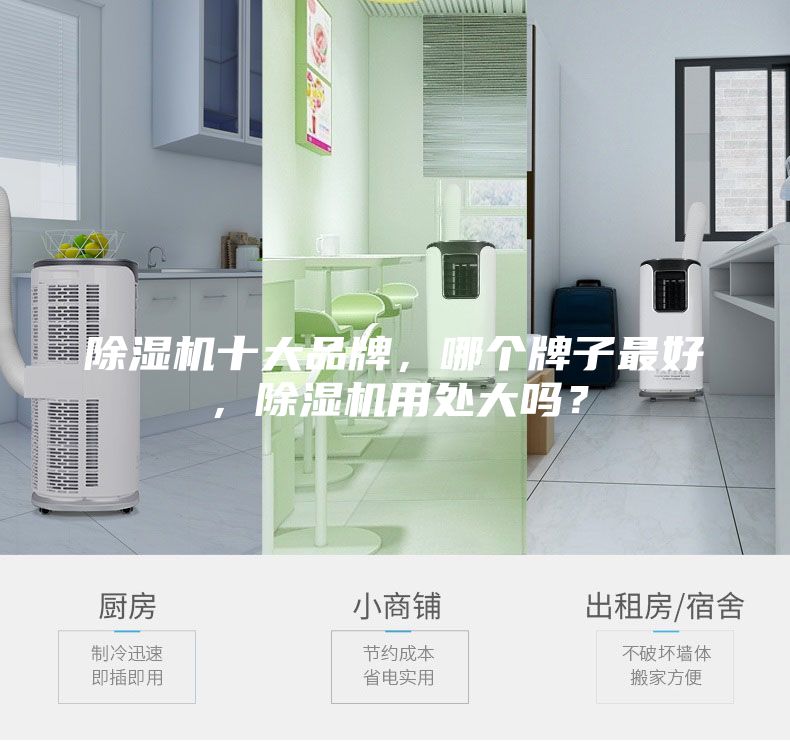 除濕機(jī)十大品牌，哪個牌子最好，除濕機(jī)用處大嗎？