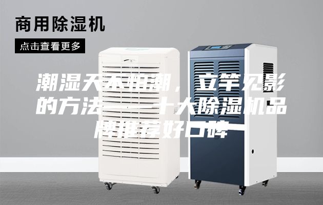潮濕天不怕潮，立竿見影的方法——十大除濕機品牌推薦好口碑