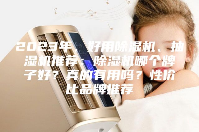 2023年,好用除濕機(jī)、抽濕機(jī)推薦:除濕機(jī)哪個(gè)牌子好?真的有用嗎?性價(jià)比品牌推薦