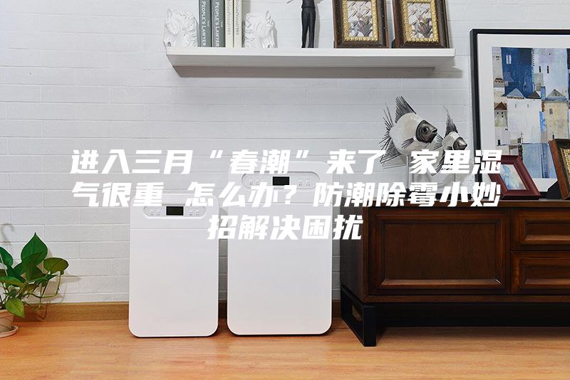 進入三月“春潮”來了 家里濕氣很重 怎么辦？防潮除霉小妙招解決困擾