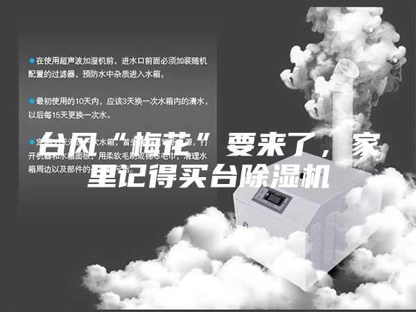 臺風“梅花”要來了，家里記得買臺除濕機