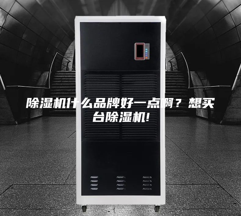 除濕機(jī)什么品牌好一點(diǎn)啊?想買(mǎi)臺(tái)除濕機(jī)!