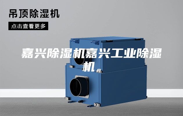 嘉興除濕機嘉興工業(yè)除濕機。