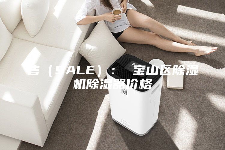 售(SALE): 寶山區(qū)除濕機除濕器價格