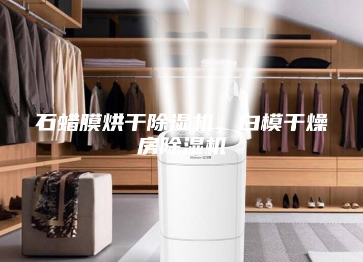 石蠟?zāi)ず娓沙凉駲C(jī)，白模干燥房除濕機(jī)