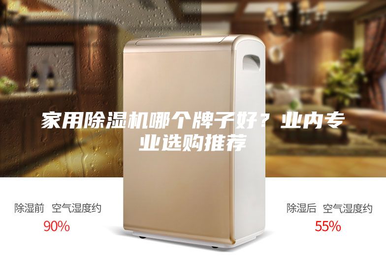 家用除濕機哪個牌子好？業內專業選購推薦
