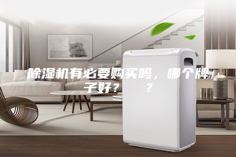 除濕機(jī)有必要購(gòu)買嗎，哪個(gè)牌子好？  ？