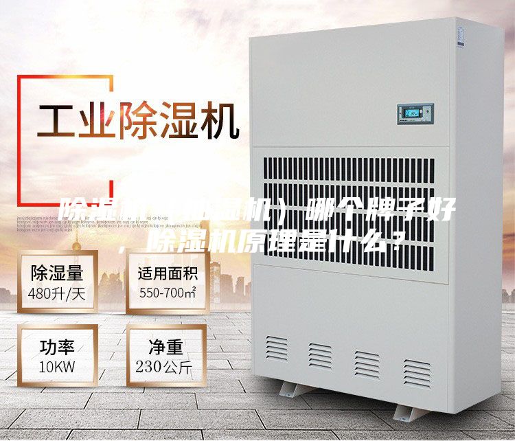 除濕機（抽濕機）哪個牌子好，除濕機原理是什么？