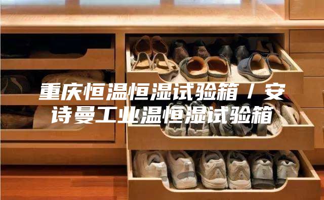 重慶恒溫恒濕試驗(yàn)箱／安詩曼工業(yè)溫恒濕試驗(yàn)箱