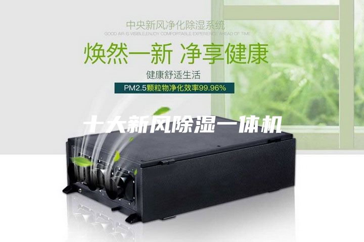 十大新風(fēng)除濕一體機(jī)
