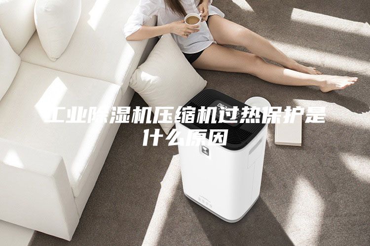 工業除濕機壓縮機過熱保護是什么原因