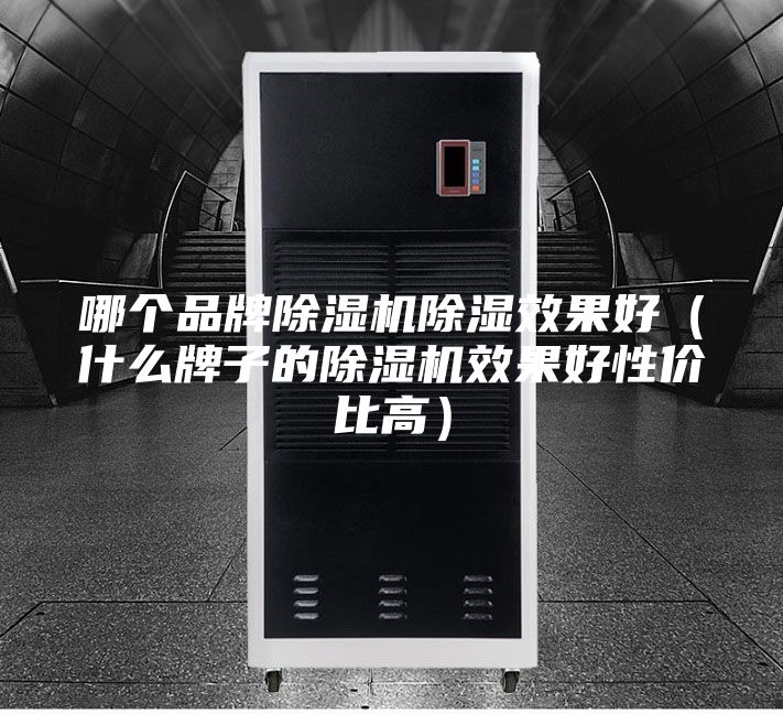 哪個(gè)品牌除濕機(jī)除濕效果好（什么牌子的除濕機(jī)效果好性價(jià)比高）