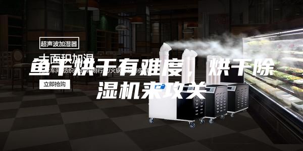 魚干烘干有難度，烘干除濕機(jī)來(lái)攻關(guān)