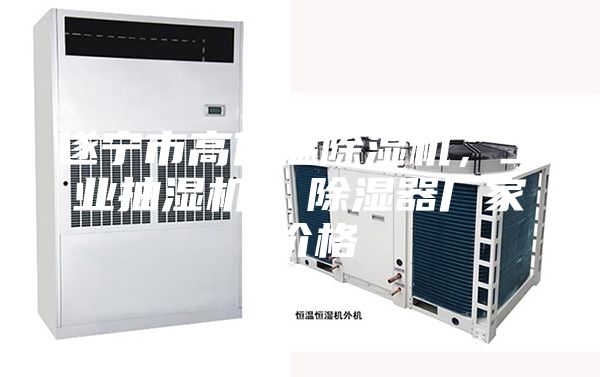 遂寧市高低溫除濕機(jī)，工業(yè)抽濕機(jī)  除濕器廠(chǎng)家 價(jià)格