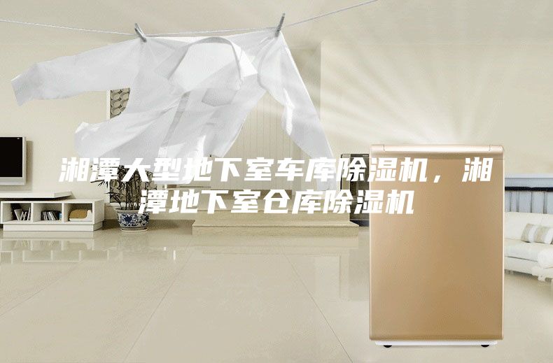湘潭大型地下室車庫除濕機，湘潭地下室倉庫除濕機