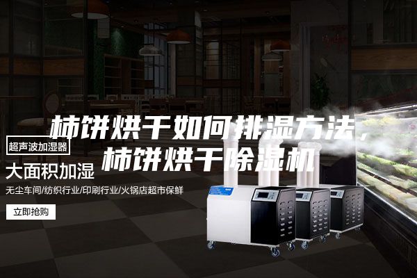 柿餅烘干如何排濕方法，柿餅烘干除濕機(jī)