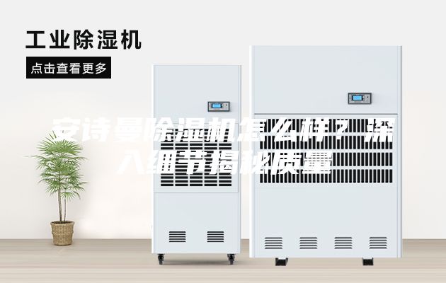 安詩曼除濕機怎么樣？深入細節揭秘質量
