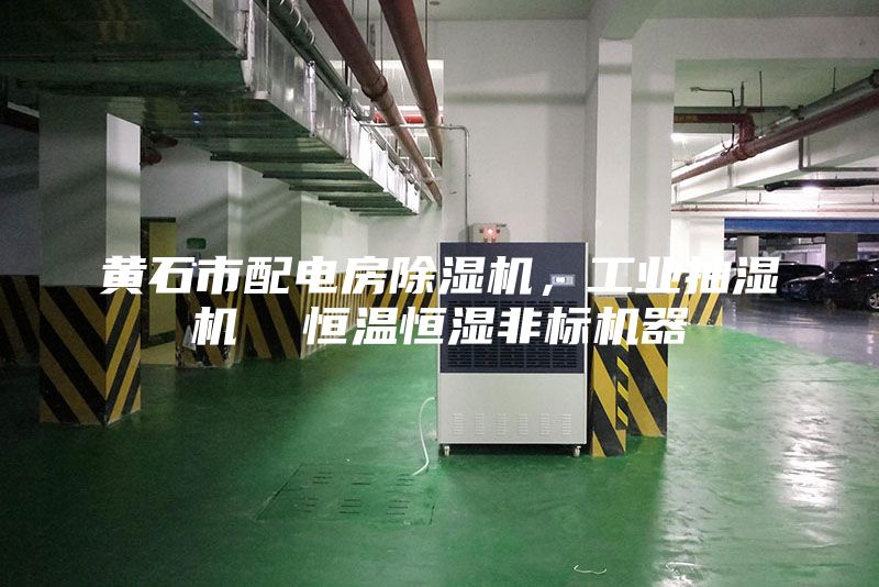 黃石市配電房除濕機，工業(yè)抽濕機  恒溫恒濕非標(biāo)機器