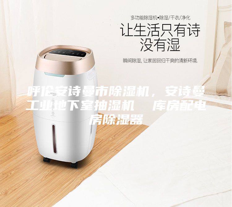 呼倫安詩曼市除濕機,安詩曼工業地下室抽濕機 庫房配電房除濕器