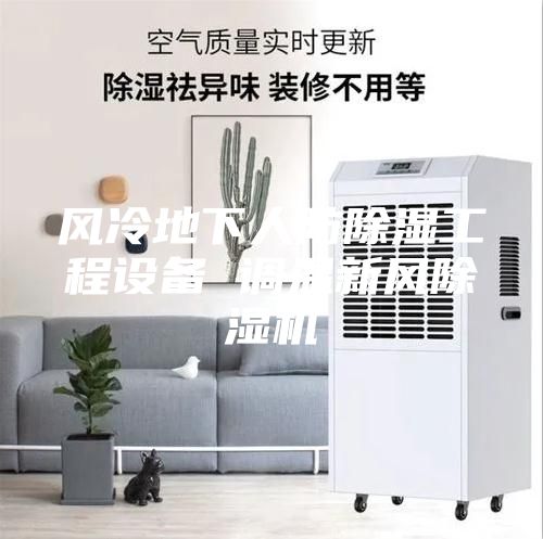 風冷地下人防除濕工程設備 調(diào)溫新風除濕機
