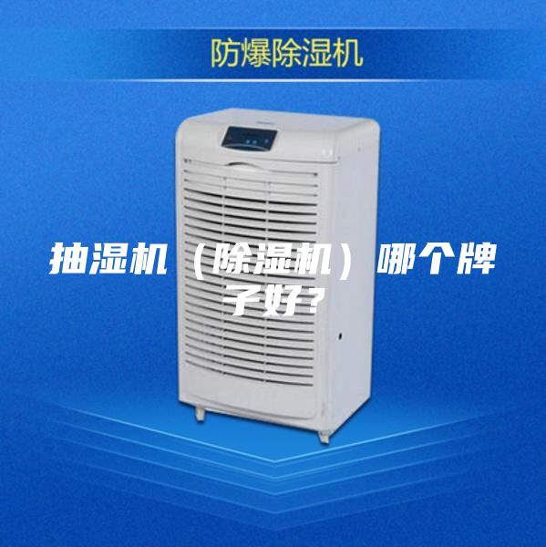 抽濕機（除濕機）哪個牌子好？