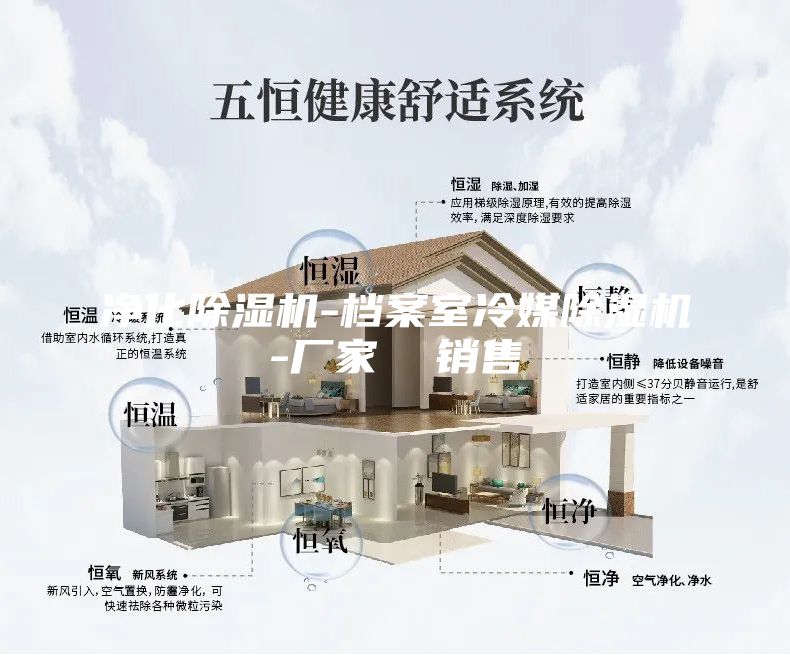凈化除濕機(jī)-檔案室冷媒除濕機(jī)-廠(chǎng)家  銷(xiāo)售