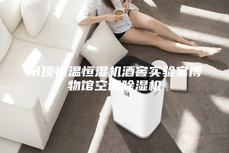 吊頂恒溫恒濕機(jī)酒窖實驗室博物館空調(diào)除濕機(jī)