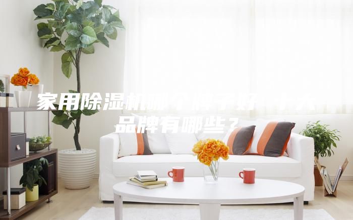 家用除濕機(jī)哪個(gè)牌子好 十大品牌有哪些？