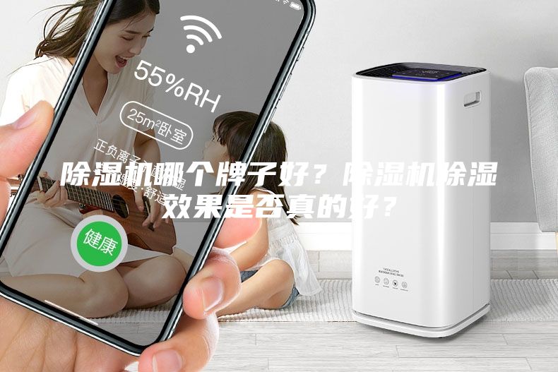 除濕機哪個牌子好？除濕機除濕效果是否真的好？