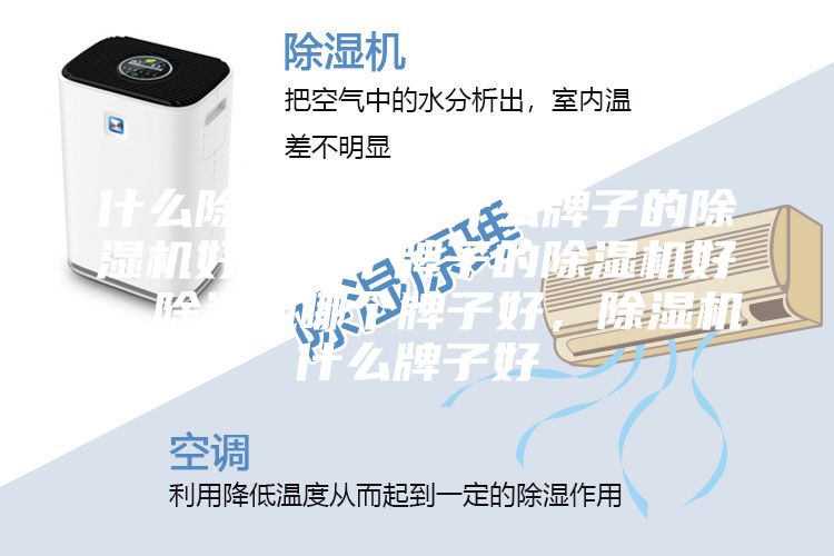 什么除濕機好，什么牌子的除濕機好，哪個牌子的除濕機好，除濕機哪個牌子好，除濕機什么牌子好