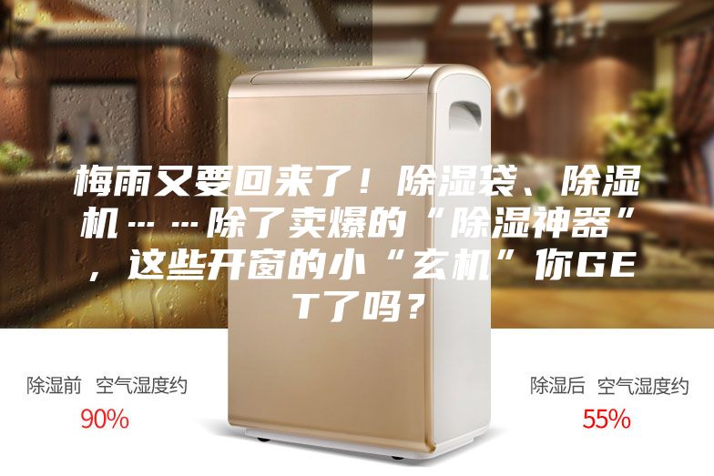 梅雨又要回來了！除濕袋、除濕機……除了賣爆的“除濕神器”，這些開窗的小“玄機”你GET了嗎？