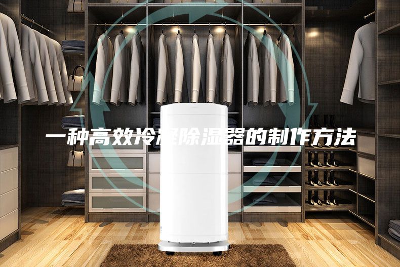 一種高效冷凝除濕器的制作方法