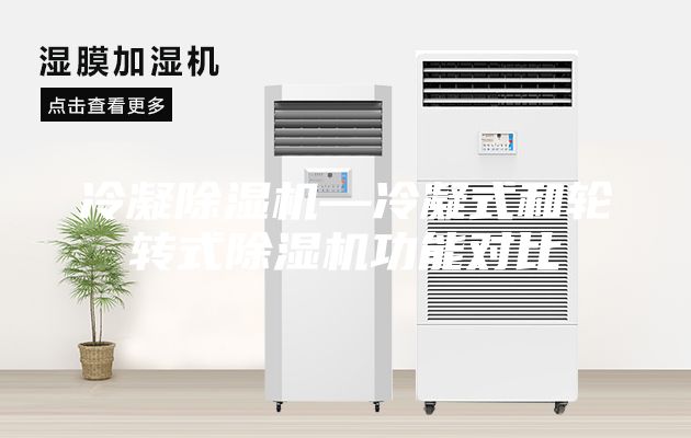 冷凝除濕機—冷凝式和輪轉(zhuǎn)式除濕機功能對比