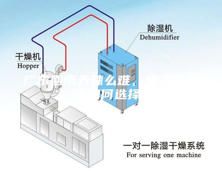 廣東回南天辣么難，除濕機應該如何選擇？