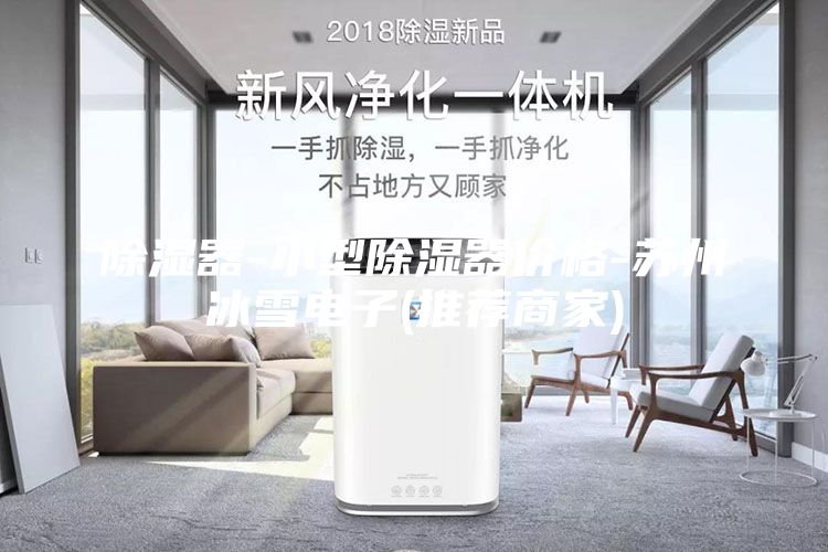 除濕器-小型除濕器價格-蘇州冰雪電子(推薦商家)